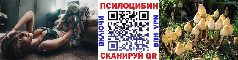 Галлюциногенные грибы Cubensis Зверево